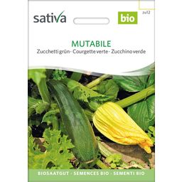Sativa Courgette Verte Bio "Mutabile"