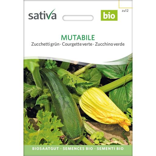 Sativa Courgette Verte Bio 