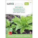 Sativa Espinacas Bio - Primera Cosecha