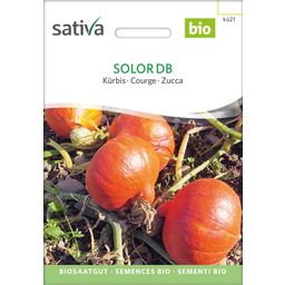 Sativa Courge Bio "Solor Db"