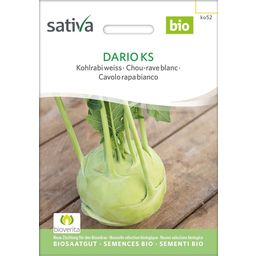 Sativa Bio Kohlrabi weiss "Dario Ks"