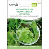 Sativa Bio sałata, mieszanka "Mesclun"