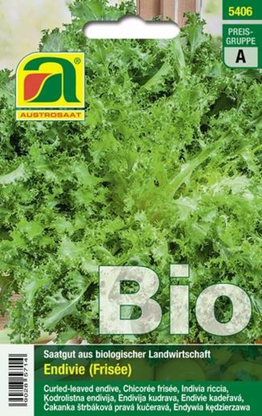 AUSTROSAAT Bio Endivie Wallone (Frisée)