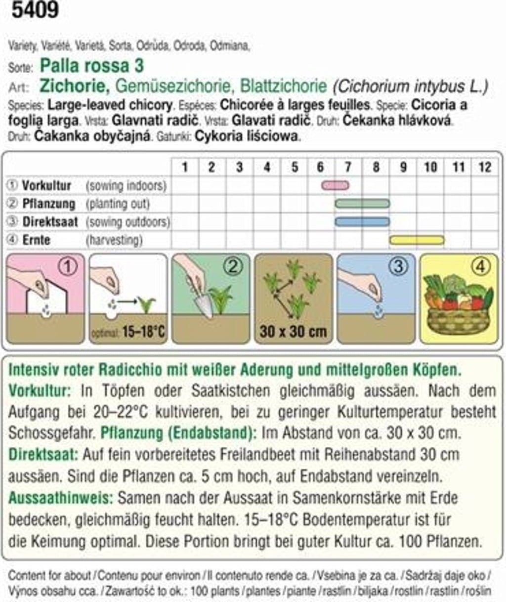 AUSTROSAAT Chicorée Radicchio Bio 