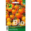 AUSTROSAAT Pomodoro Bio - Clementine