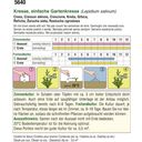 AUSTROSAAT Bio Gartenkresse Einfache