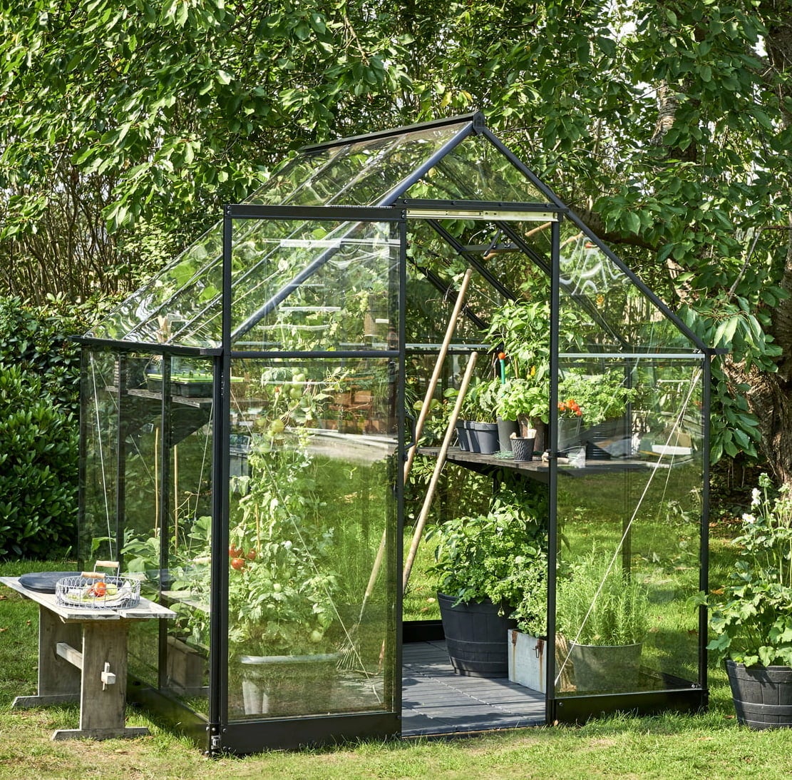 Halls Gewächshaus "Qube" - Schwarz