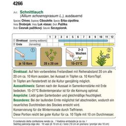 AUSTROSAAT Schnittlauch grobröhrig - 1 Pkg
