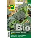AUSTROSAAT Broccolo Bio - Calabrese Natalino