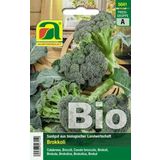 AUSTROSAAT Bio brokoli "Calabrese Natalino"