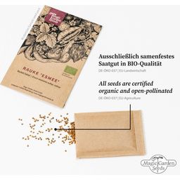 Colourful Self-Sufficiency Garden - Organic Seed Propagation Kit