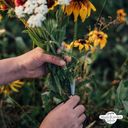 Magic Garden Seeds Vad virágzás - Bio mag szaporító szett