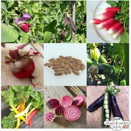 Bio zestaw nasion - warzywa na balkon i do ogrodu