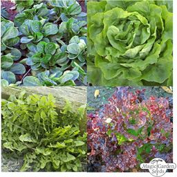 Magic Garden Seeds Vitaminreiche Salatsorten - Samenset