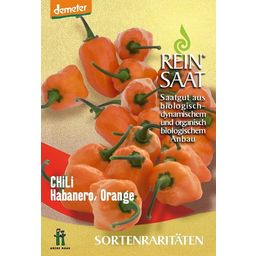 ReinSaat Chilli "Habanero Orange"