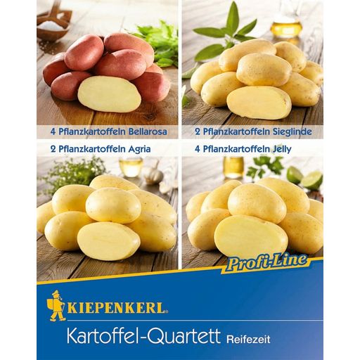 Seed Potatoes Quartet - Different Harvest Times - 12 items