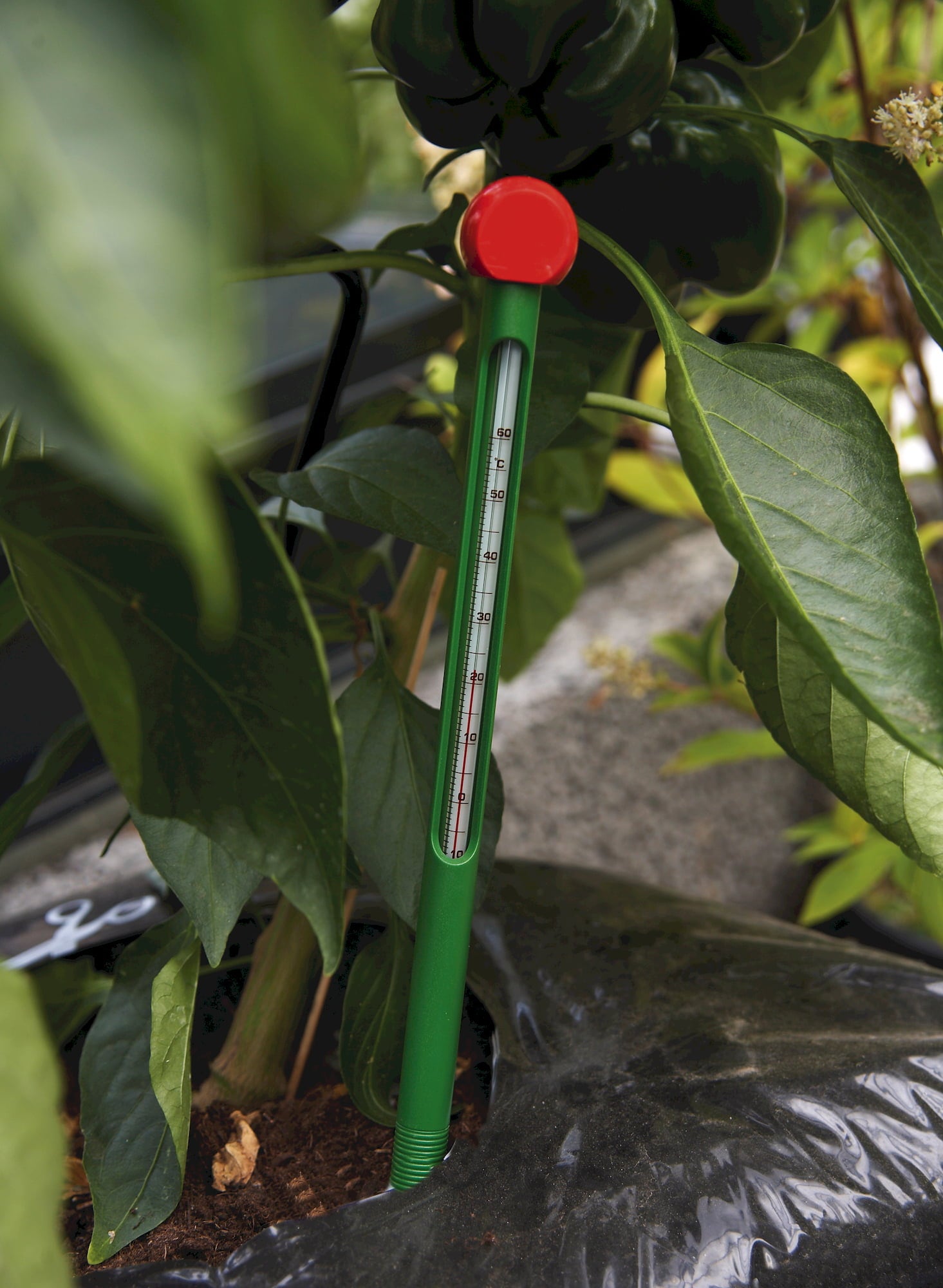 Juliana Erdbodenthermometer - 1 Stk.