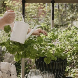 Strömshaga Hugo Watering Can - White