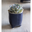 Garden Trading Vaso Positano - Blu - 7,2 cm