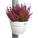 elho vibia campana Downspout Planter - 22 cm - Silk white