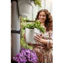 elho vibia campana Downspout Planter - 22 cm - Silk white