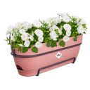 elho Balkonkasten vibia campana allin1, 50 cm - puderrosa