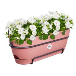 elho Balkonkasten vibia campana allin1, 50 cm - puderrosa