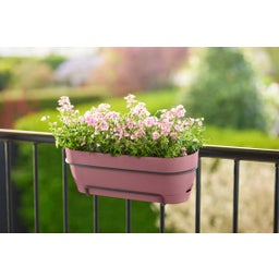 elho Balkonkasten vibia campana allin1, 50 cm - puderrosa