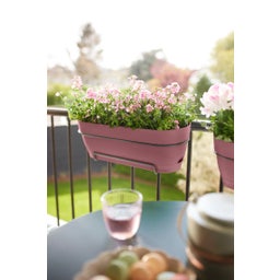 elho Balkonkasten vibia campana allin1, 50 cm - puderrosa