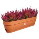 elho Vibia Campana Balcony Box - 70 cm - Terra