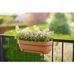 elho Vibia Campana Balcony Box - 70 cm - Terra