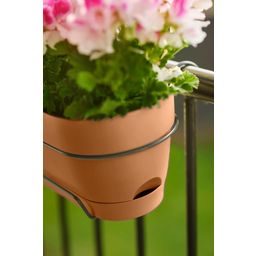 elho Vibia Campana Balcony Box - 70 cm - Terra