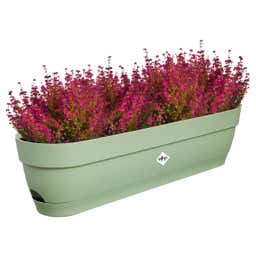 elho Vibia Campana Balcony Box - 70 cm - Pistachio green