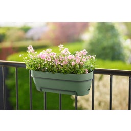 elho Vibia Campana Balcony Box - 70 cm - Pistachio green