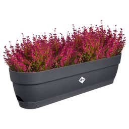elho Balkonkasten vibia campana, 70 cm - anthrazit