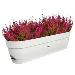 elho Balkonkasten vibia campana, 70 cm - seidenweiß