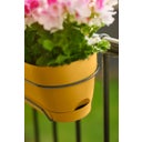 elho Balkonkasten vibia campana, 50 cm - honig gelb