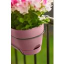 elho Vibia Campana Balcony Box - 50 cm - Powder pink