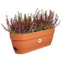 elho Balkonkasten vibia campana, 50 cm - terra