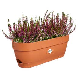 elho Balkonkasten vibia campana, 50 cm - terra