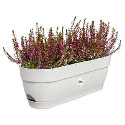 elho Balkonkasten vibia campana, 50 cm - seidenweiß