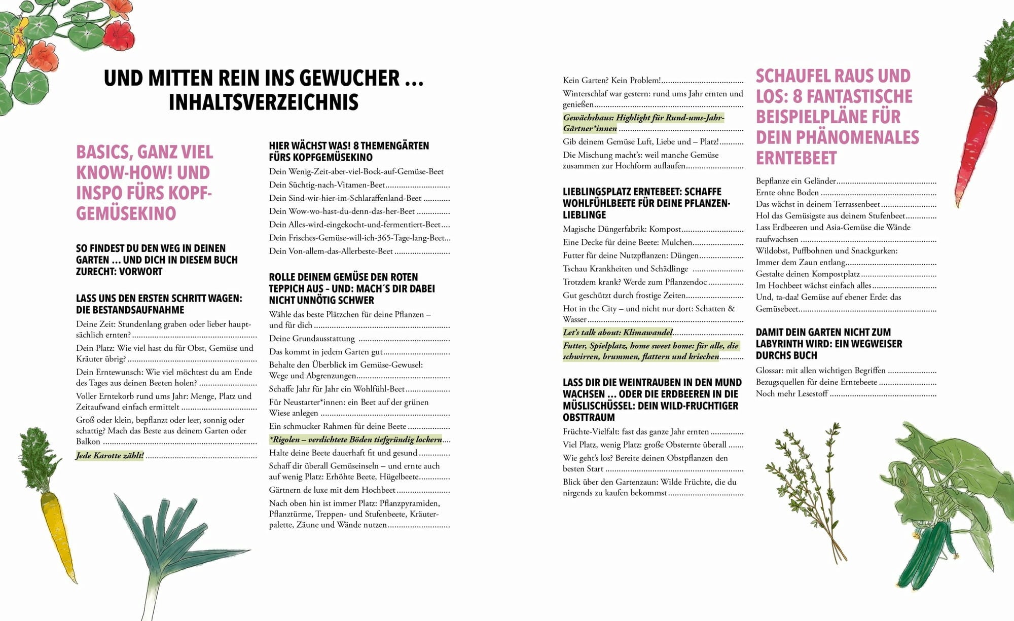 Löwenzahn Verlag Das phänomenale Erntebeet
