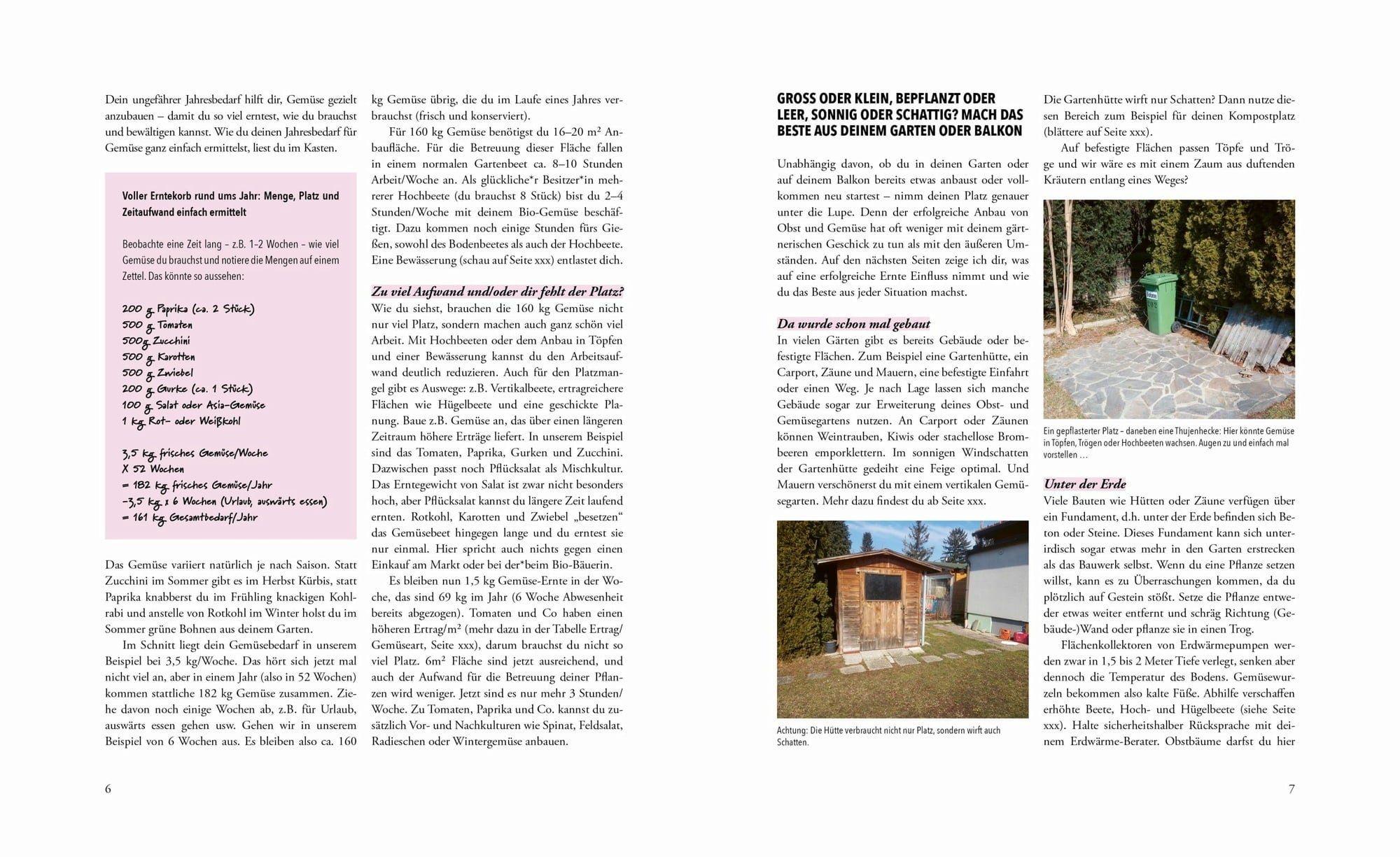 Löwenzahn Verlag Das phänomenale Erntebeet