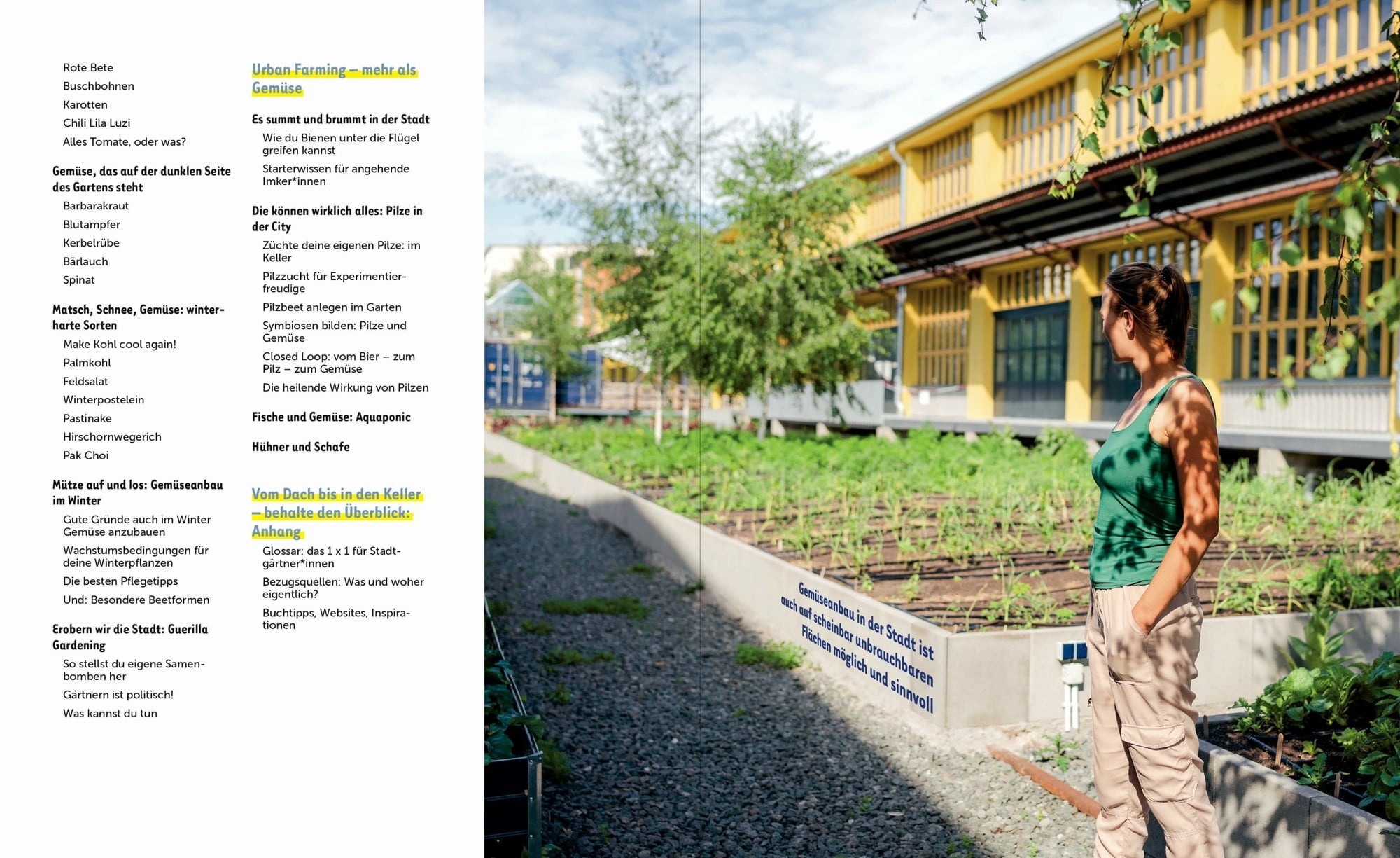 Löwenzahn Verlag Mestna zelenjava
