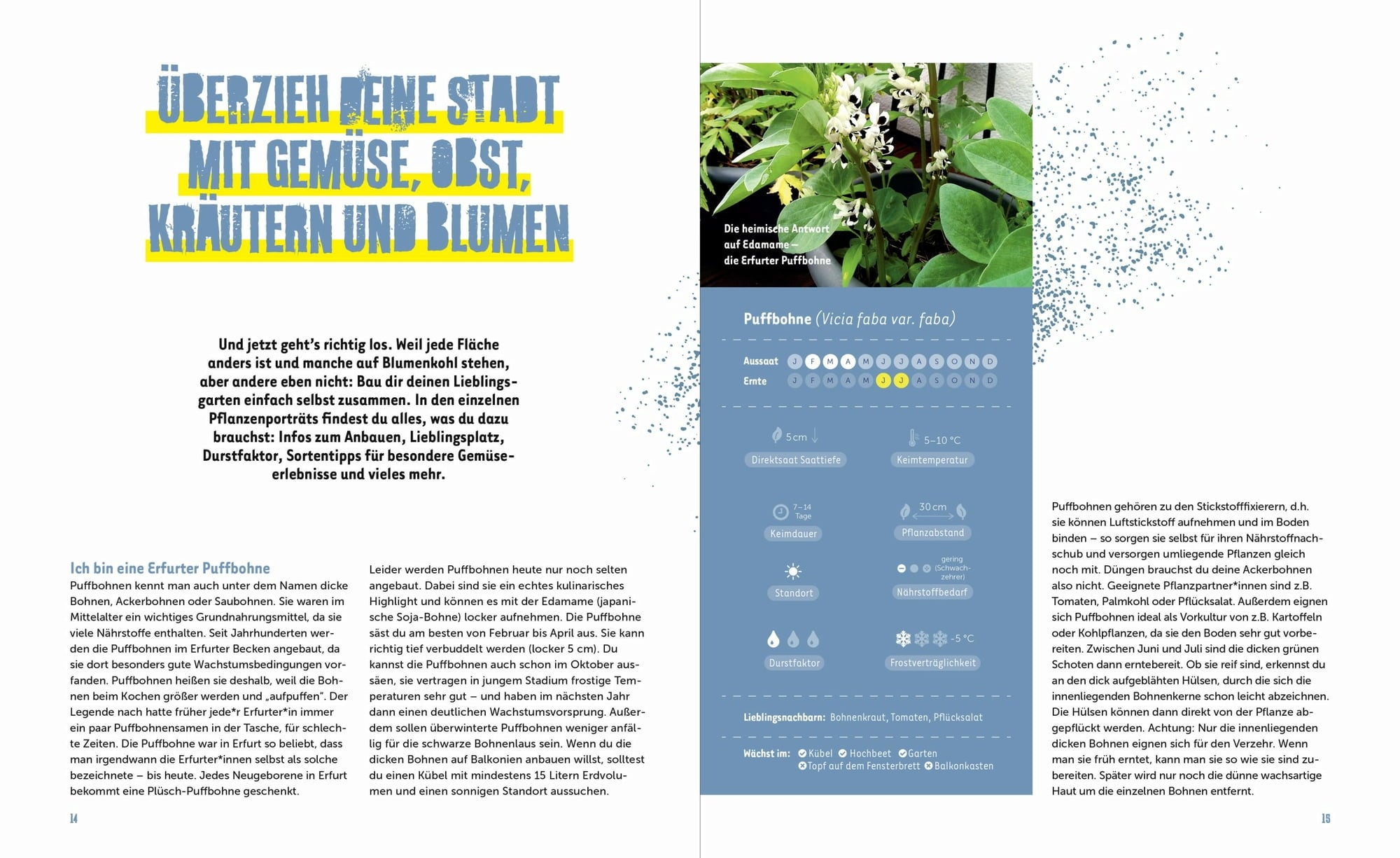 Löwenzahn Verlag Mestna zelenjava