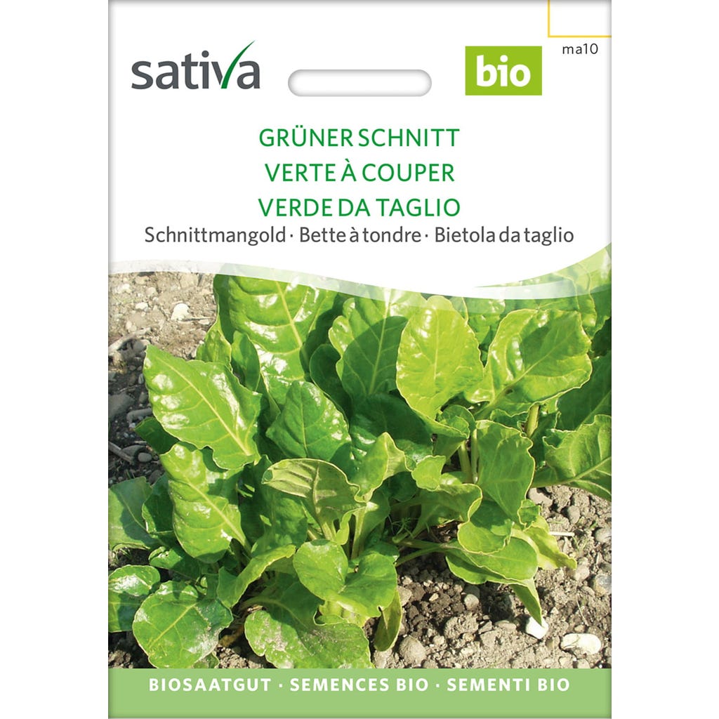 Samenliebe BIO Schnittmangold Samen „Weißer Schnitt“ | 200 Samenfeste Samen Für Garten, Balkon & Gewächshaus