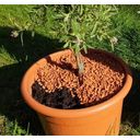 Bio granulát na výsadbu pre vyvýšené záhony, balkónové a črepníkové rastliny
