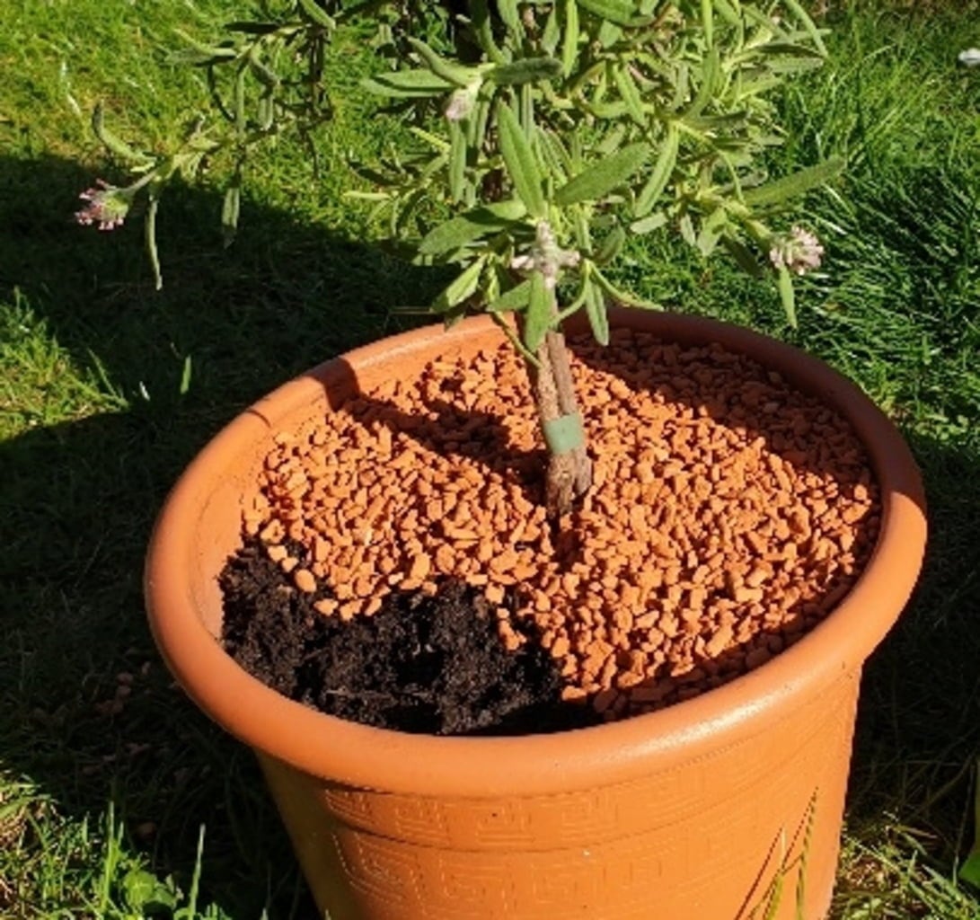Organic Planting Granules for Raised Beds, Balcony & Potted Plants