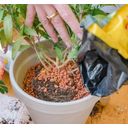 Bio granulát na výsadbu pre vyvýšené záhony, balkónové a črepníkové rastliny