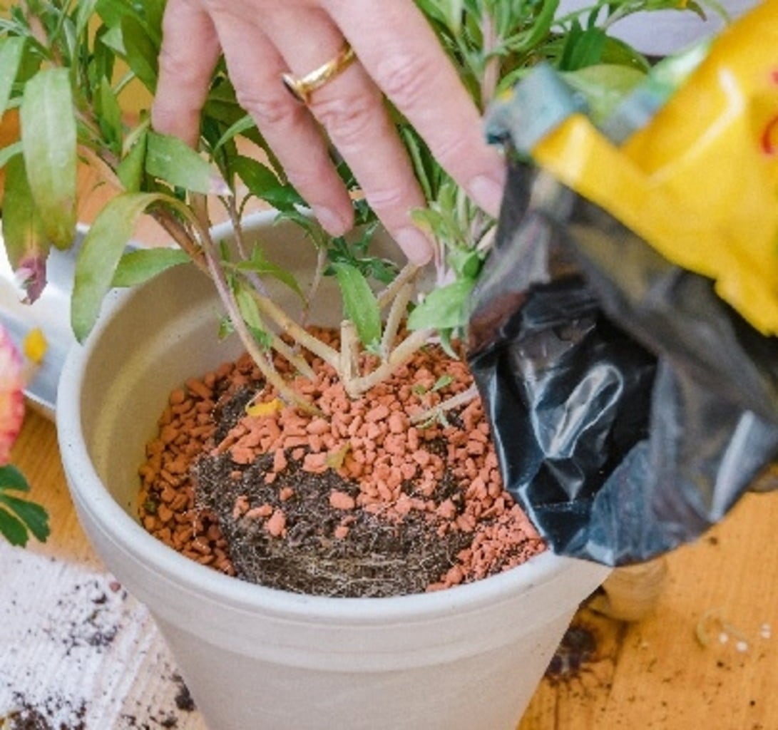 Organic Planting Granules for Raised Beds, Balcony & Potted Plants